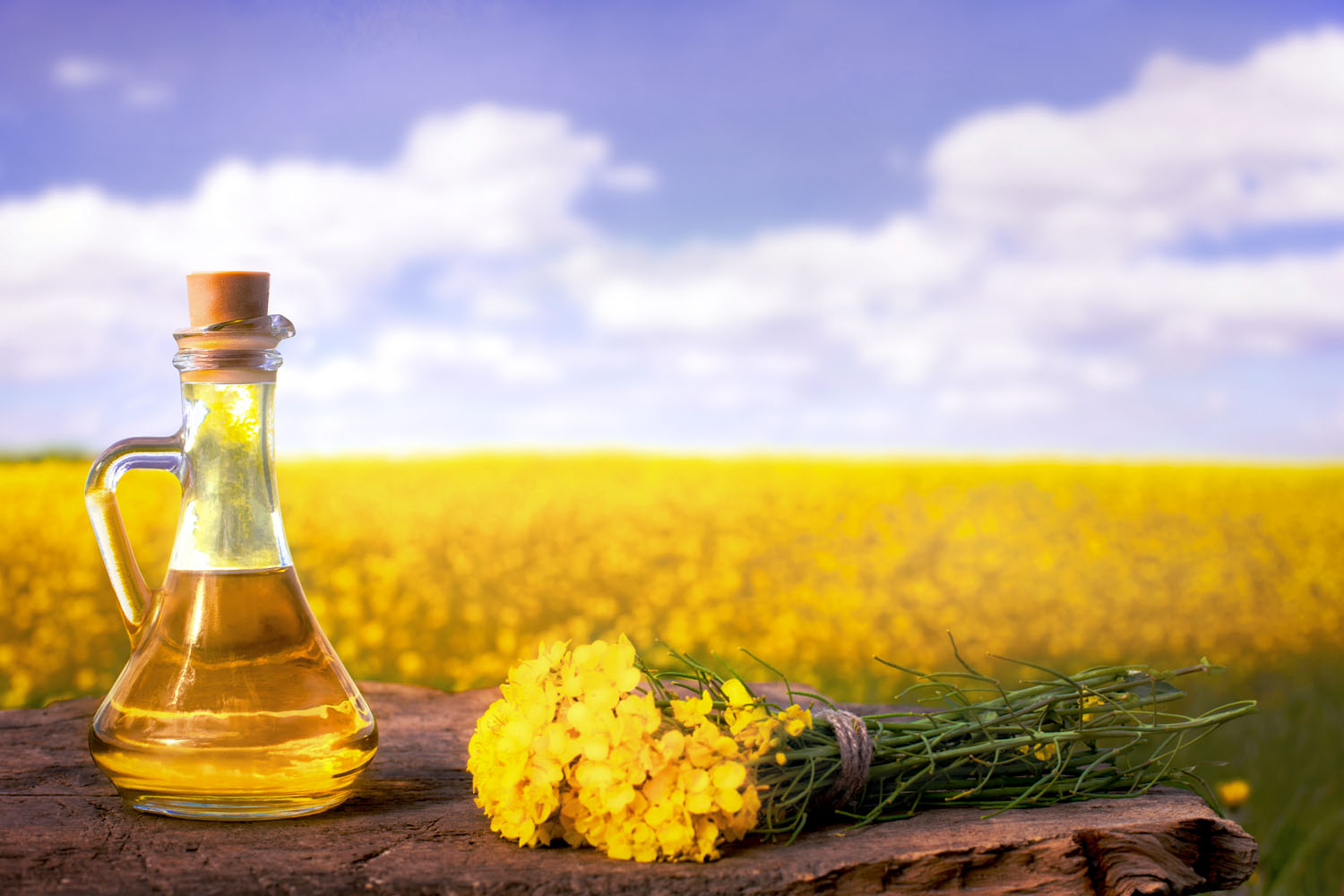 20.1.21 – Schweizer Rapsöl gehört zu den Top-Ölen der Schweiz