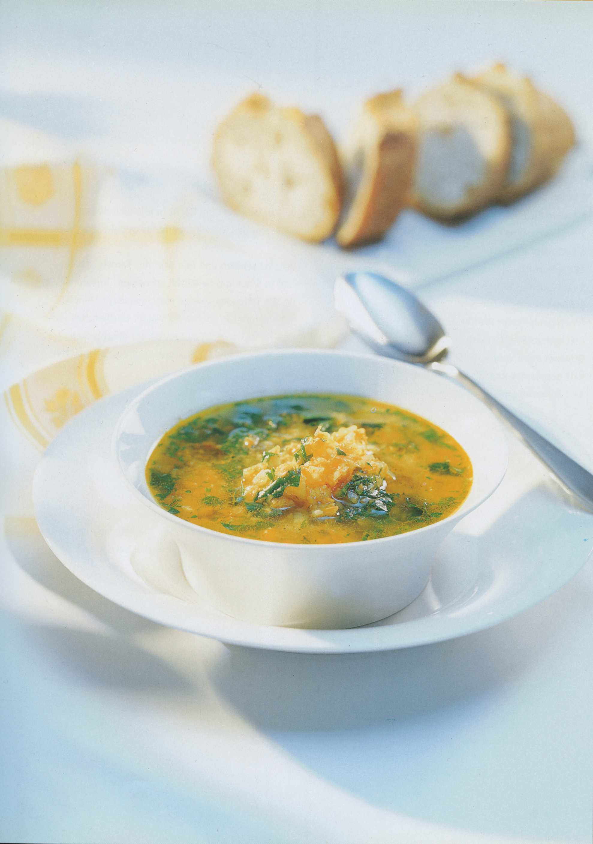 Leichte Kräuter-Gemüsesuppe