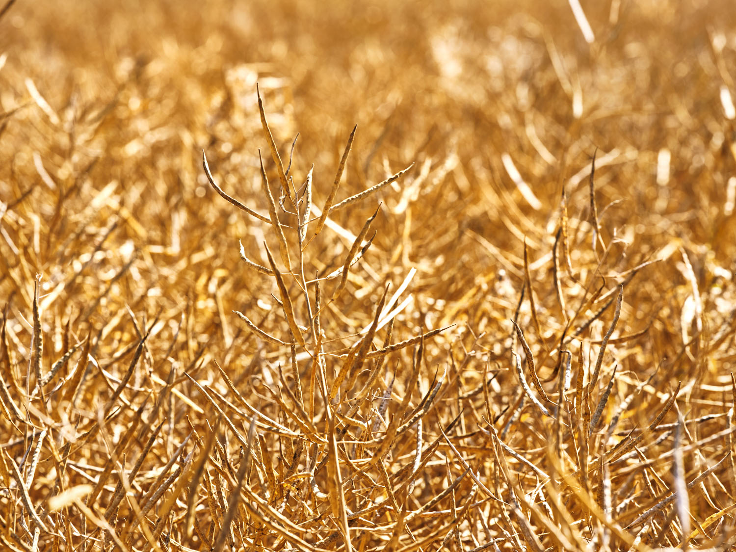 Vorbildlich nachhaltig